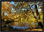 Jesień, Staw