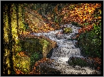 Wodospad, Lumsdale Waterfall, Potok, Skały, Las, Drzewa, Kolorowe, Liście, Jesień, Matlock, Anglia