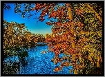 Jesień, Drzewa, Staw, Wieżowce, Miasto