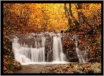 Jesień, Las, Wodospad, Liście