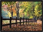 Jesienny, Park, Drewniany, Płotek
