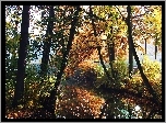 Jesienny, Park