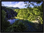 Chorwacja, Jeziora, Drzewa, Roślinność, Park Narodowy Jezior Plitwickich