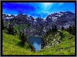 Góry, Jeziorko, Drzewa