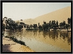 Jeziorko, Drzewa, Oaza, Peru
