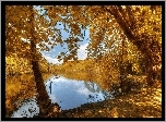 Park, Jeziorko,  Jesień