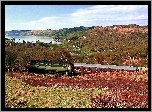 Jezioro, Wzgórza, Łąki, Pociąg