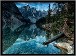 Kanada, Park Narodowy Banff, Góry, Jezioro Moraine, Drzewa