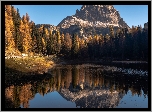 Jesień, Góry, Dolomity, Las, Pożółkłe, Drzewa, Jezioro, Antorno Lake, Odbicie, Włochy