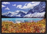 Jezioro, Góry, Park, Narodowy, Banff, Kanada