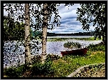 Jezioro, Łódź, Brzozy, Trawa