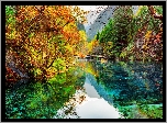 Chiny, Park Narodowy Jiuzhaigou, Jezioro Pięciu Kwiatów, Jezioro Wu Hua Hai, Drzewa, Jesień, Odbicie