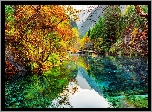 Chiny, Park Narodowy Jiuzhaigou, Jezioro Pięciu Kwiatów, Jezioro Wu Hua Hai, Drzewa, Jesień, Odbicie