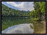 Jezioro, Toplitzsee, Brzeg, Las, Drzewa, Góry, Alpy, Odbicie, Chmury, Austria