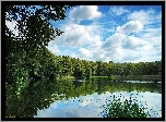 Jezioro, Las, Chmury, Odbicie