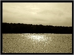 Jezioro, Drzewa, Czarno Biały