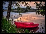 Jezioro, Las, Czerwona, Łódka