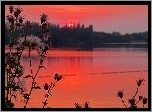 Jezioro, Zachód, Słońca, Oset, Czerwone, Niebo