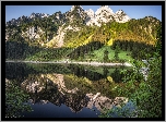 Austria, Góry, Dachstein, Jezioro Gosauseen, Drzewa, Odbicie