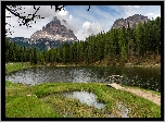 Jezioro, Antorno Lake, Most, Trawa, Drzewa, Las, Góry, Dolomity, Włochy
