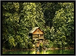Domek, Jezioro, Las