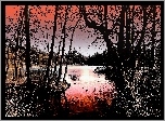Jezioro, Drzewa