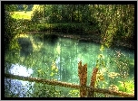 Jezioro, Drzewa