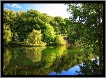 Jezioro, Drzewa