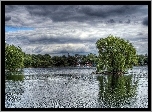 Jezioro, Chmury, Drzewa, Budynki