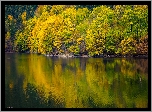 Jezioro, Jesień, Drzewa, Odbicie
