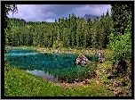 Jezioro, Kamienie, Drzewa, Trawa