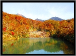 Jezioro, Las, Drzewa, Góry