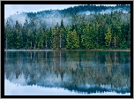 Jezioro, Las, Drzewa, Mgła