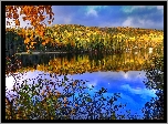 Jezioro, Kolorowy, Las, Odbicie, Drzewa, Liście