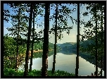 Jezioro, Las, Drzewa, Wzgórza