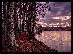 Jezioro, Lasy, Drzewa, Jesień