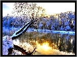 Drzewa, Jezioro, Śnieg