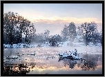 Jezioro, Śnieg, Drzewa, Łabędzie