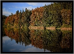 Jesień, Jezioro, Drzewa, Las, Odbicie