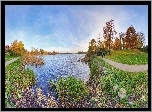 Jezioro, Park, Drzewa, Niebo