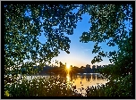 Jezioro, Promienie słońca, Drzewa, Trawy