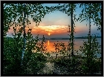 Jezioro, Zachód, Słońca, Drzewa, Brzozy