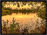 Jezioro, Zachód słońca, Drzewa, Rośliny