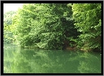 Jezioro Szmaragdowe, Drzewa, Woda