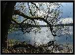 Jezioro, Dłużek, Drzewo, Wiosna