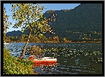 Jezioro, Rower wodny, Drzewo, Góra