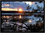 Jezioro, Zachód, Słońca, Gałęzie, Sosny