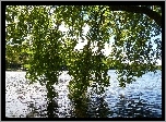 Jezioro, Gałęzie
