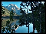 Góry, Jezioro, Drzewa