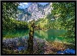 Góry, Jezioro, Drzewa